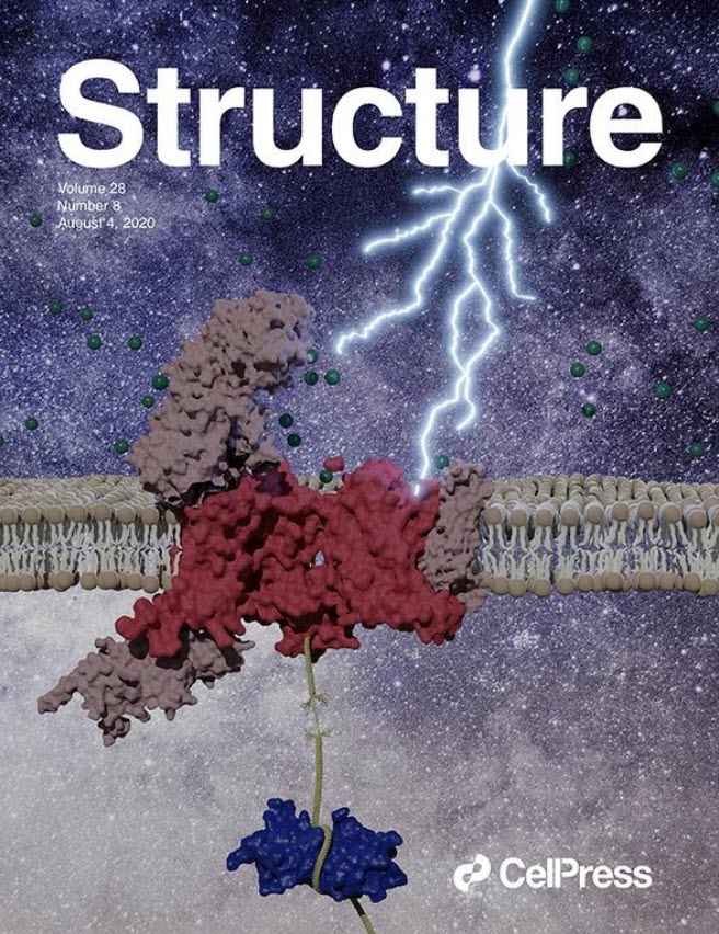 Cover image of Structure magazine